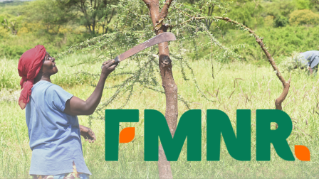 Farmer Managed Natural Regeneration (FMNR) – Orientation